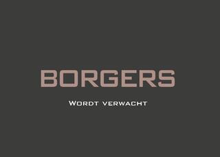audi-sq5-3.0-tfsi-standkachel-l-carbon-l-luchtvering-l-pano