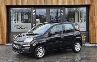 fiat-panda