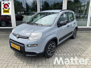 fiat-panda