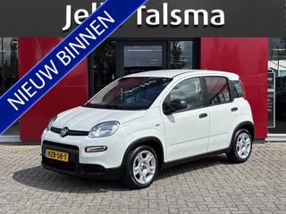 fiat-panda