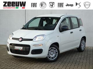 fiat-panda