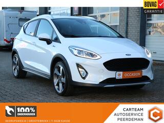 ford-fiesta-1.0-ecoboost-active-x--carplay--pdc--goed-onderhouden!-