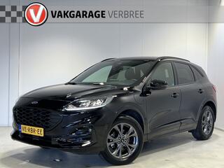 ford-kuga