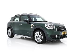 mini-countryman