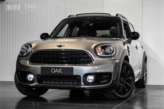 mini-countryman