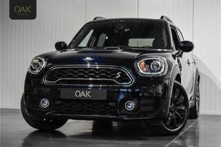 mini-countryman