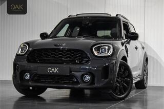 mini-countryman