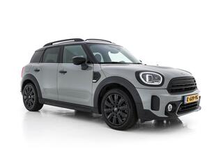 mini-countryman