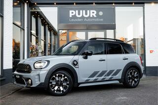 mini-countryman