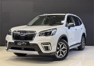 subaru-forester-e-boxer--grijs-kenteken--carplay--trekhaak--adaptive-cruise--camera--stoelverw
